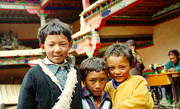 rongbu boys