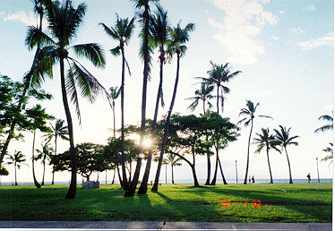 WaiKiKi sunset